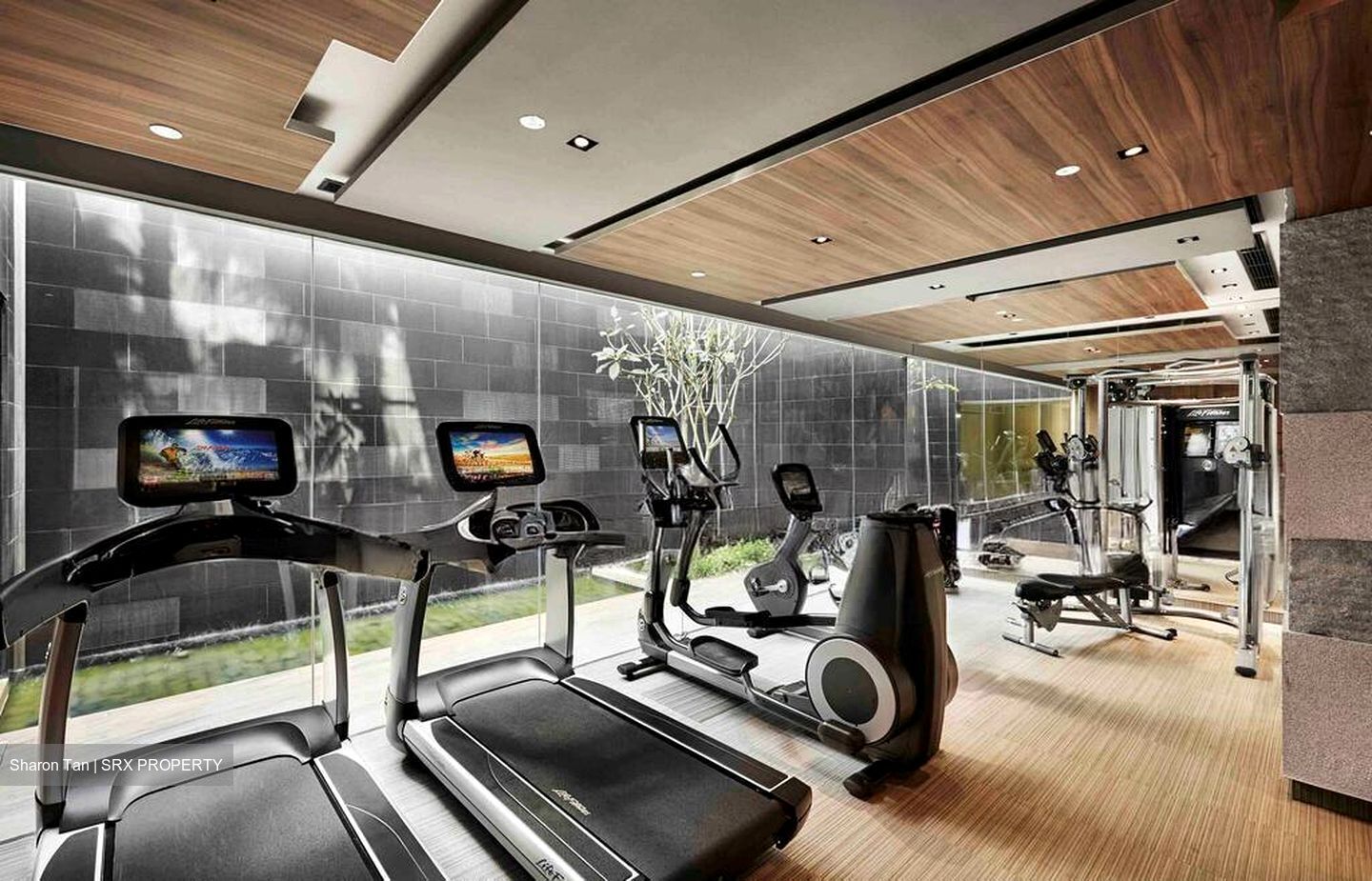 Greenwood Mews (D11), Terrace #496279851